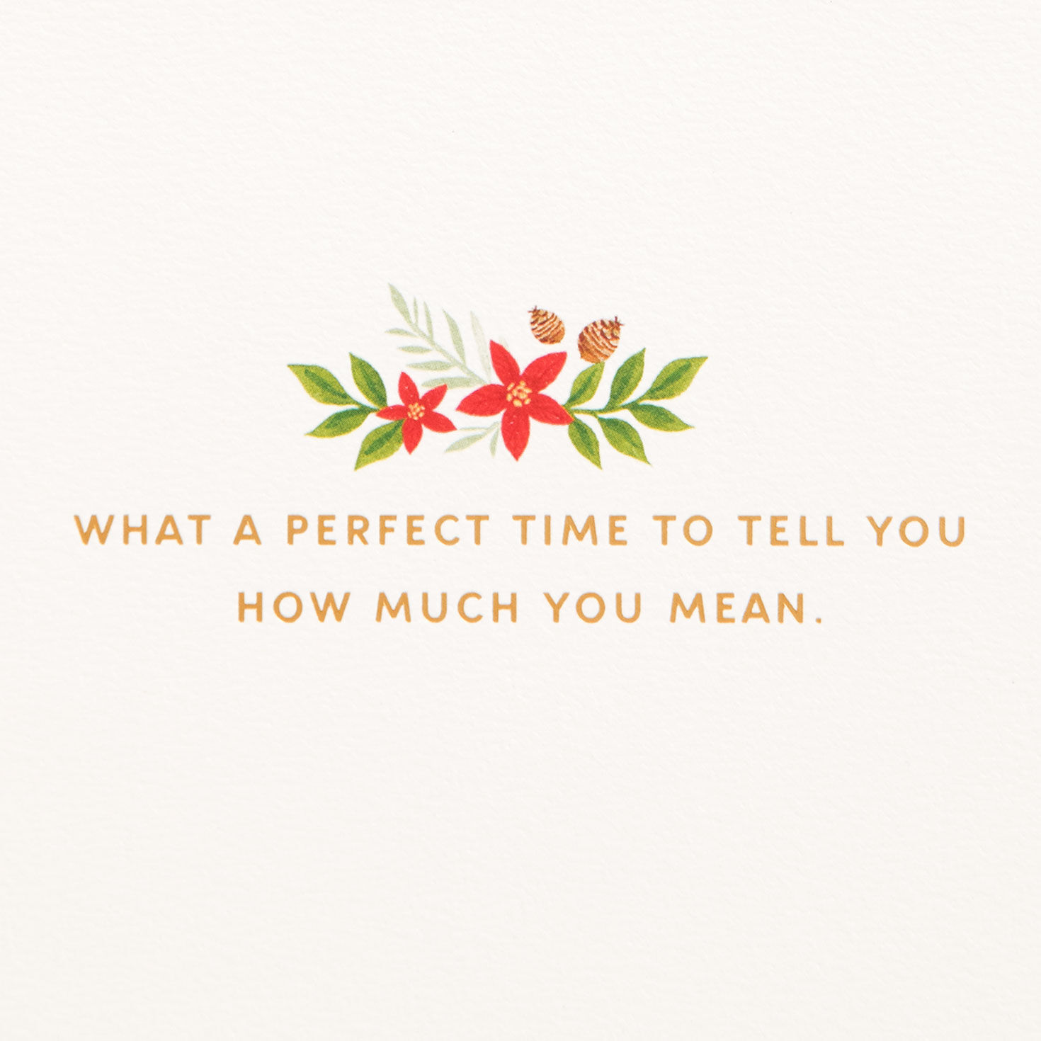 Merry Christmas Poinsettias and Holly Christmas Card, , large image number 2