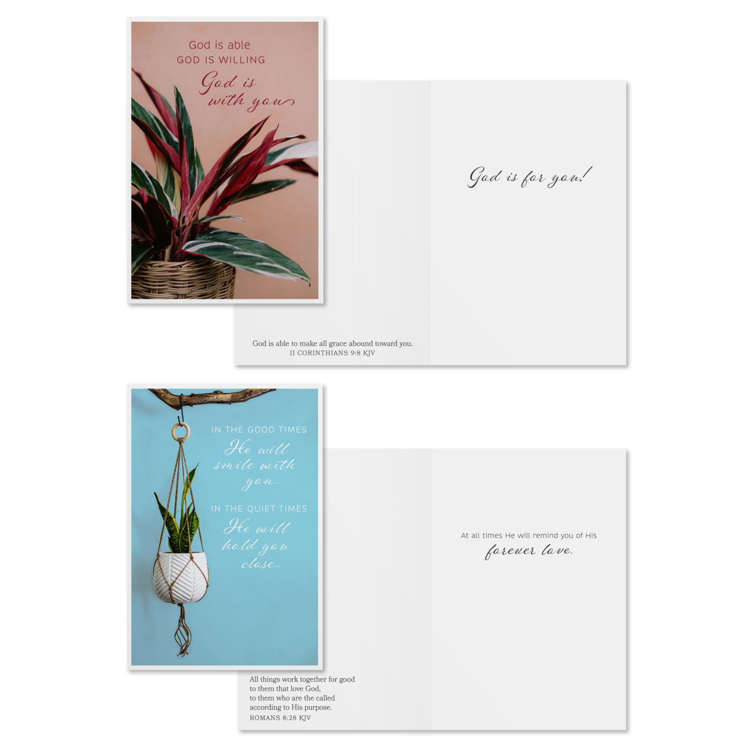 Plants DaySpring Encouragement Cards Assortment Card Front with Sentiment image number 3