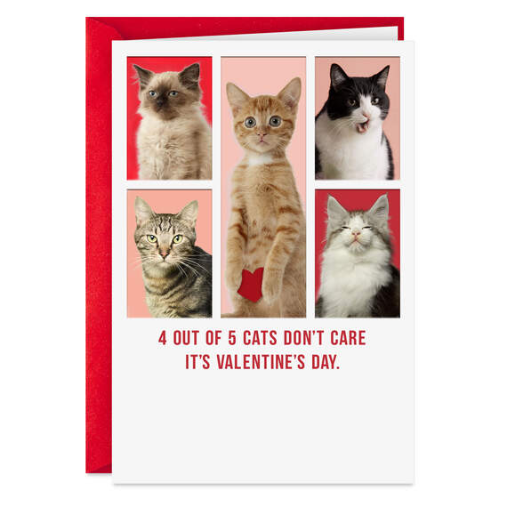 Cats Don't Care Funny Valentine's Day Card, , large image number 1