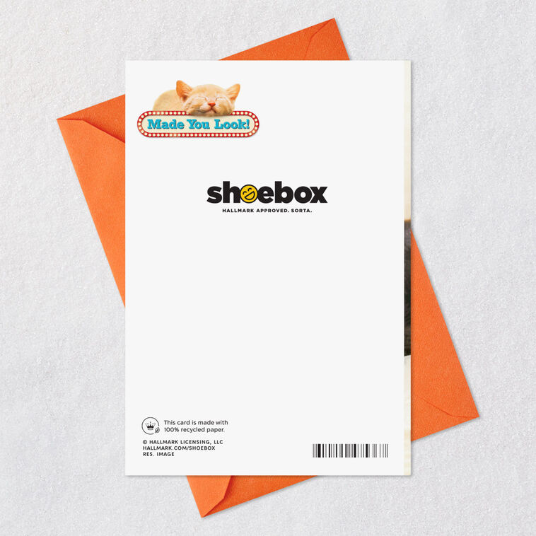 Cat Nine Lives Together Love Card Card Back with Envelope image number 7