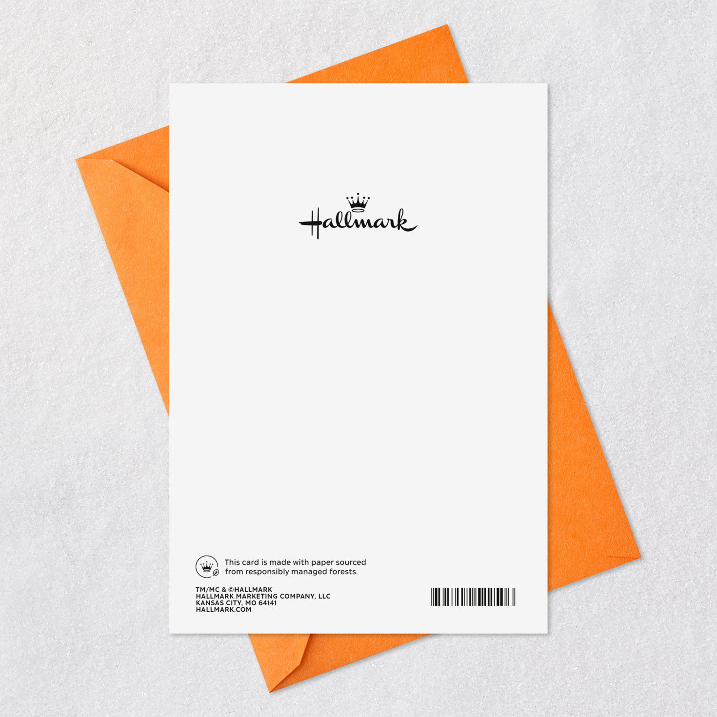 Dog in a Ghost Costume Halloween Card, , large image number 7