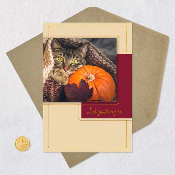 Just Peeking In Cat and Pumpkin Thanksgiving Card, , large image number 5