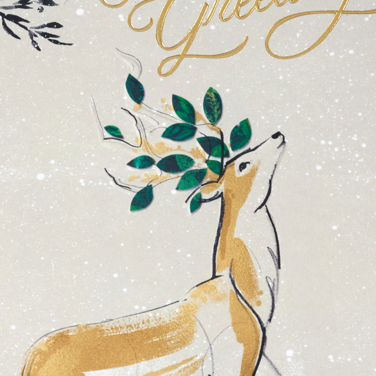 Majestic Deer and Birch Christmas Cards Pack Cover Detail image number 5