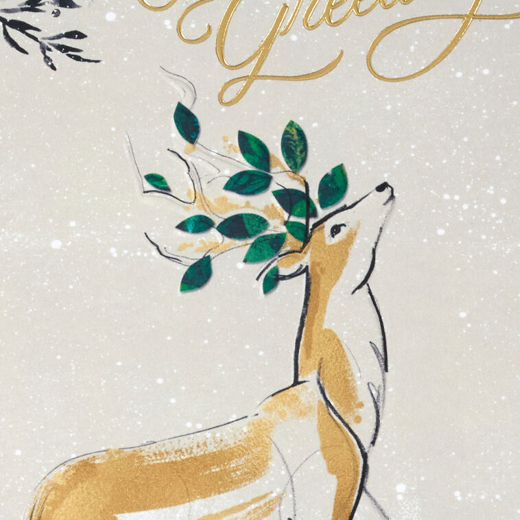 Majestic Deer and Birch Christmas Cards Pack Cover Detail image number 5