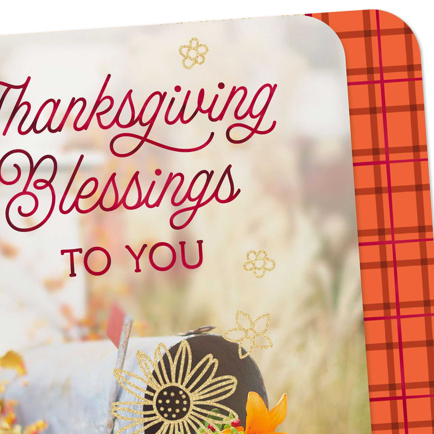Mailbox and Flowers Religious Thanksgiving Card Card Front Detail image number 4