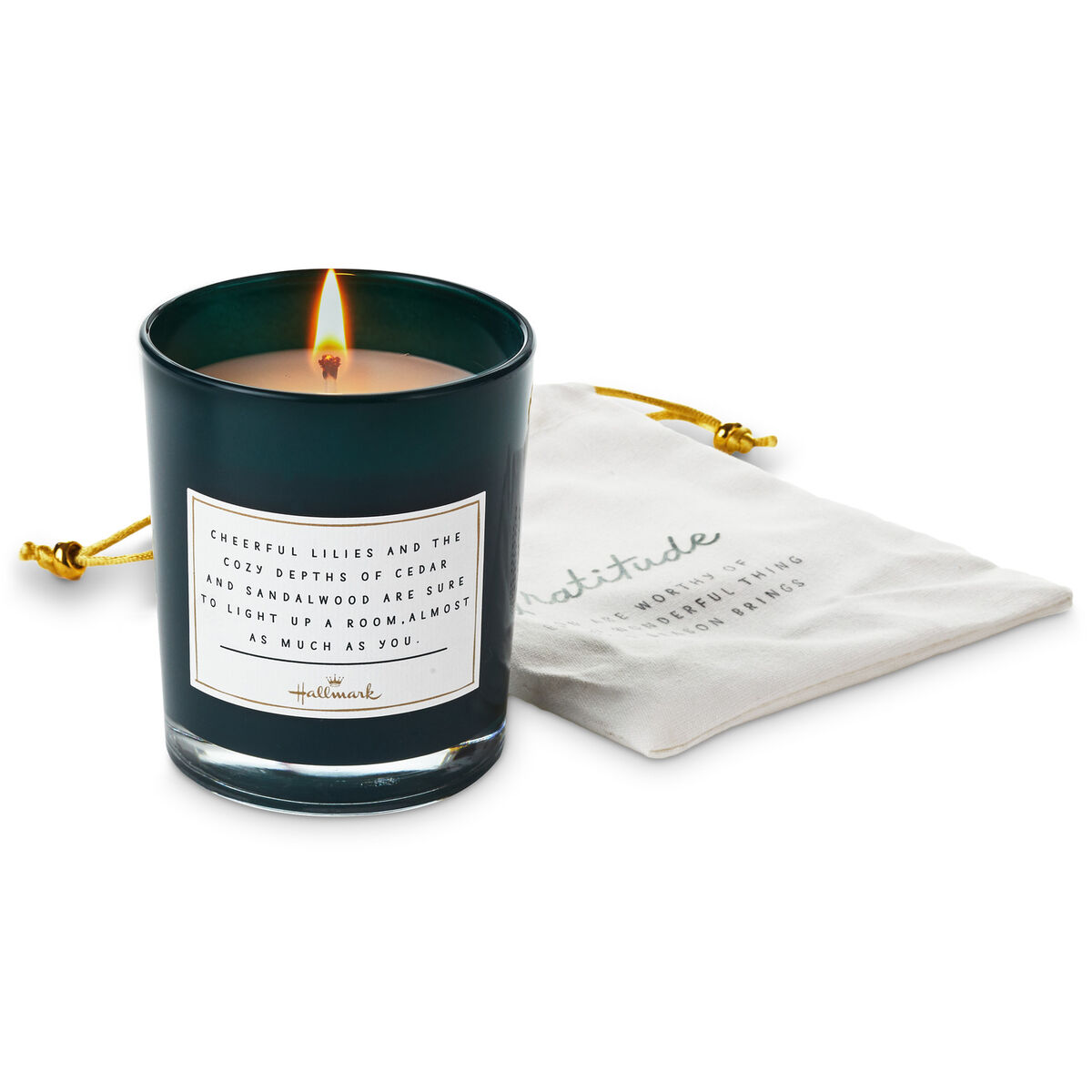 Gratitude Scented Jar Candle in Gift Bag, 7.5 oz. - Candles - Hallmark