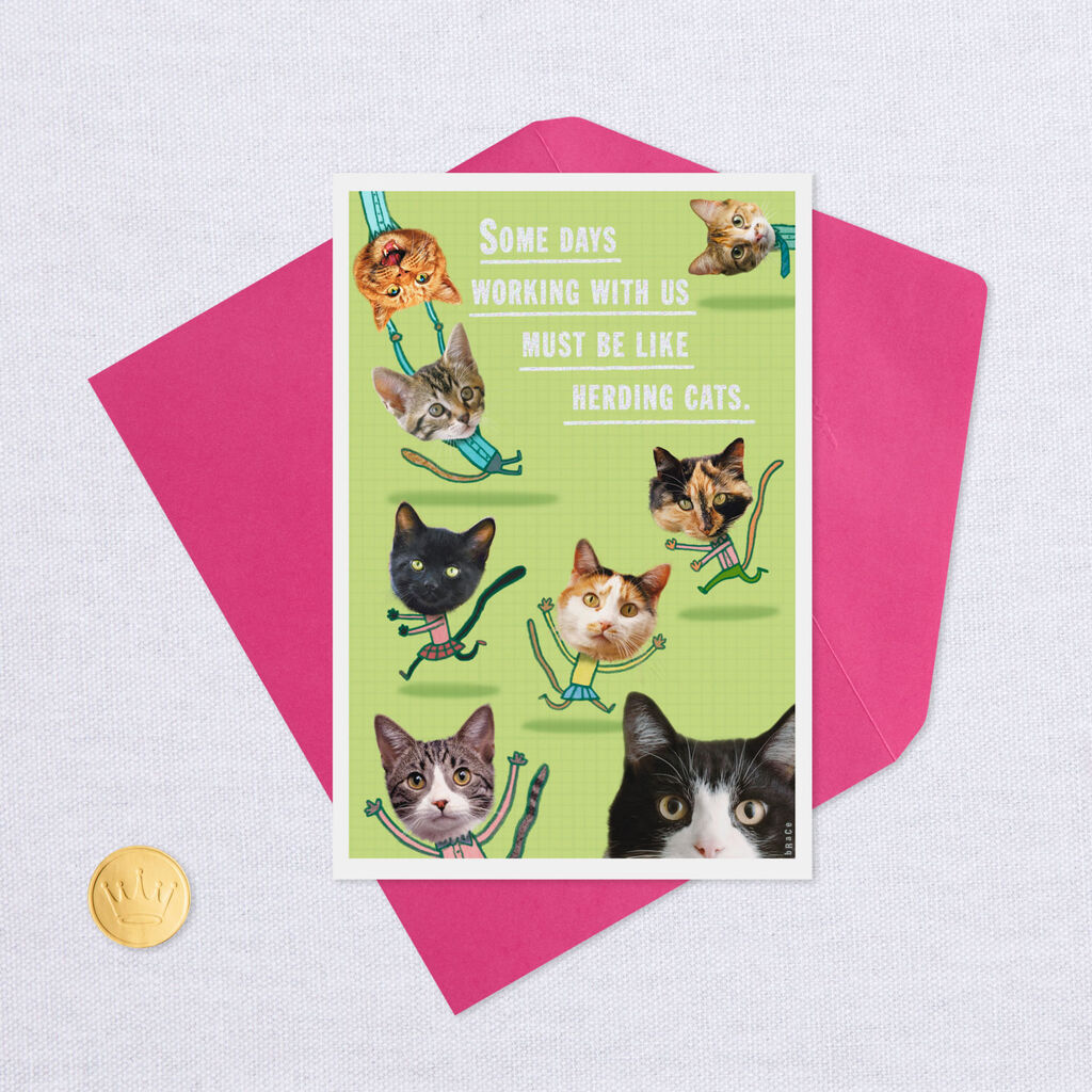 Herding Cats Administrative Professionals Day Card Greeting