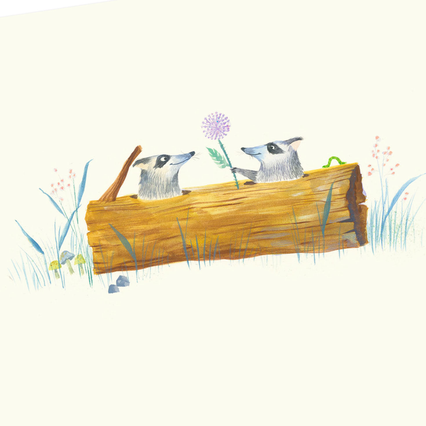 Cute Raccoons and Flowers Blank Card for only USD 2.99 | Hallmark