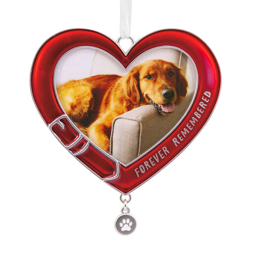 Pet Memorial Metal Photo Frame Hallmark Ornament, 
