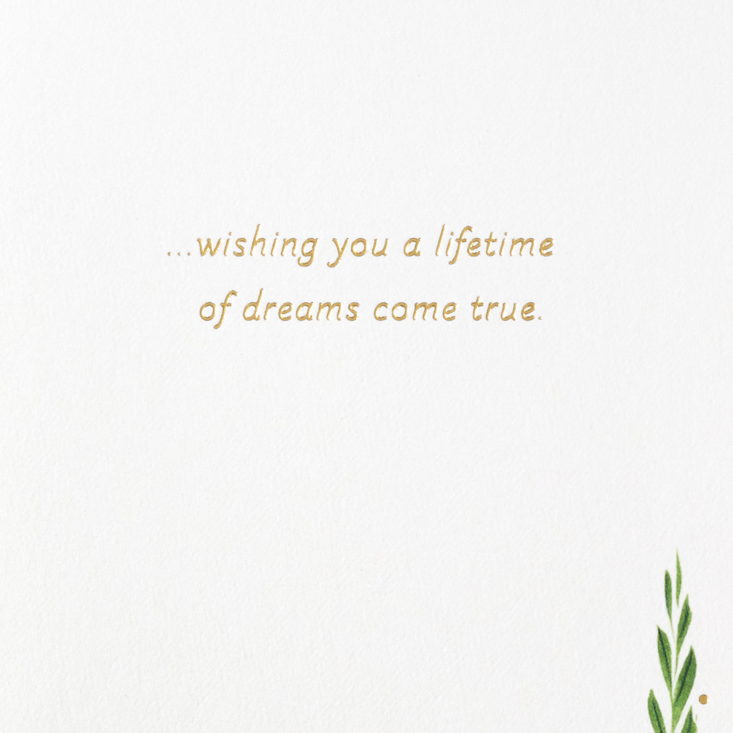 A Lifetime of Dreams Come True Wedding Card, , large image number 3