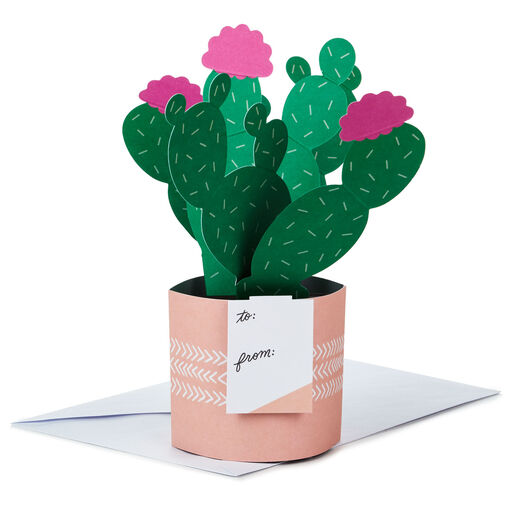 Cactus Looking Sharp 3D Pop-Up Card, 