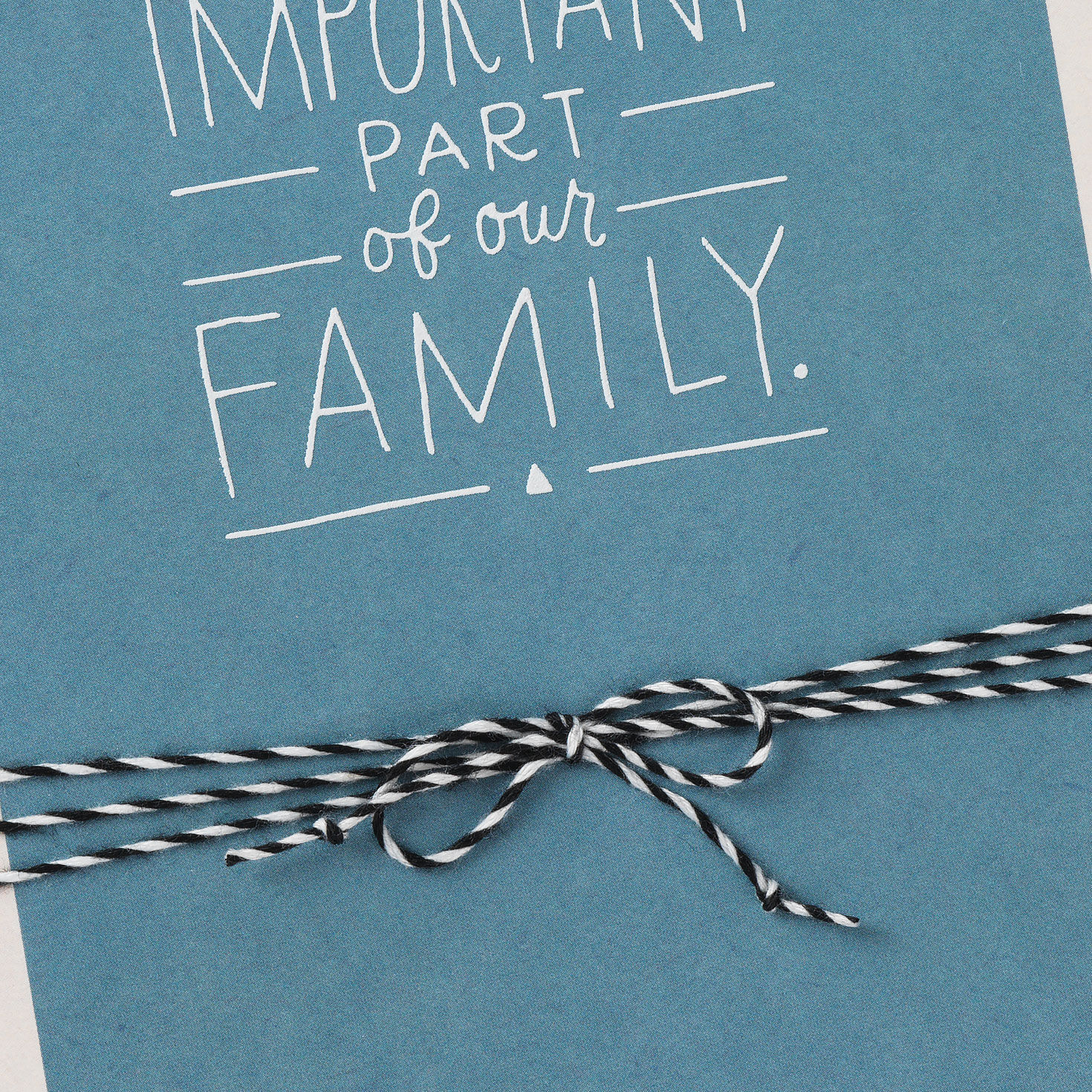 Important Part of Our Family Father's Day Card, , large image number 4