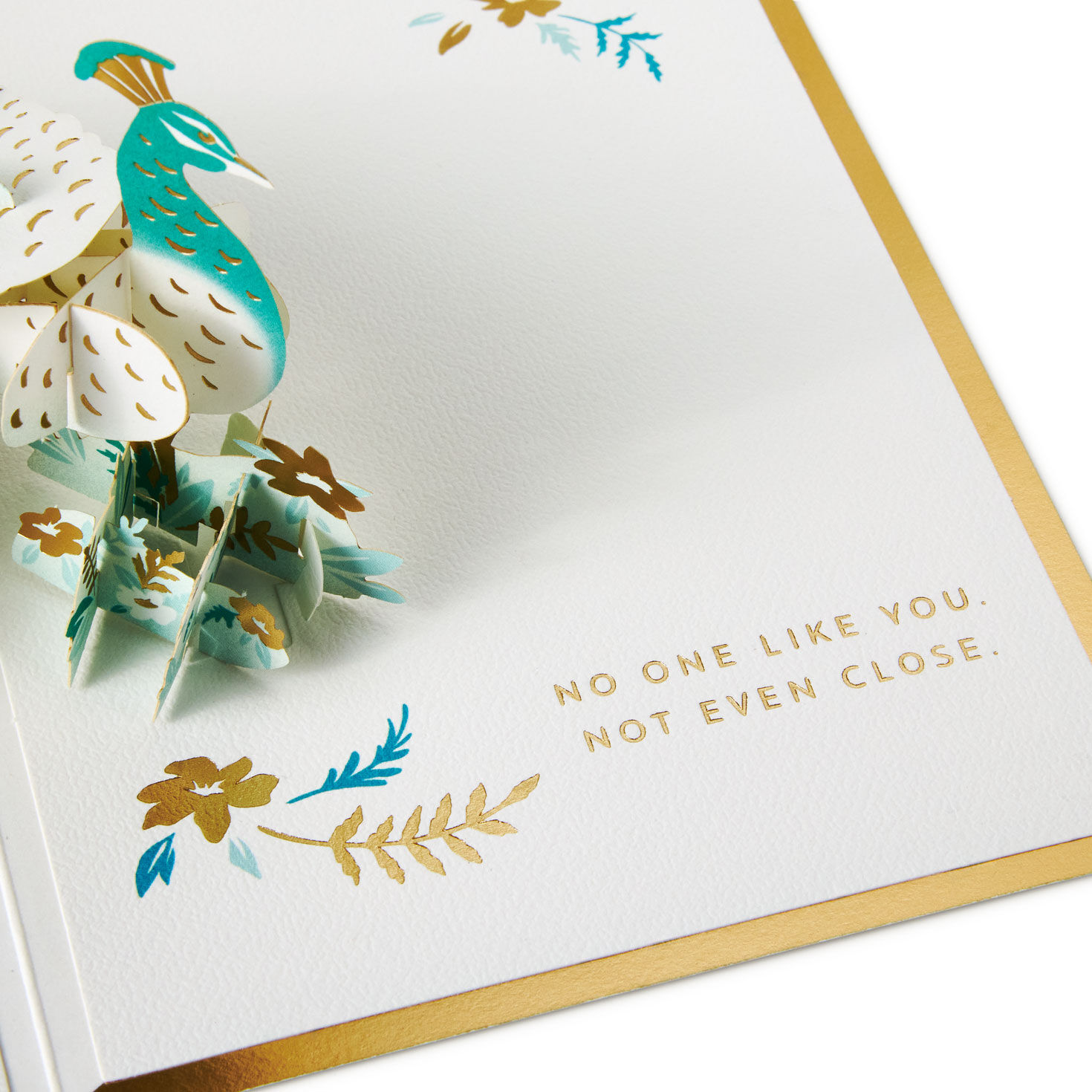 Blue and Green Peacock Encouragement Card Sentiment image number 3