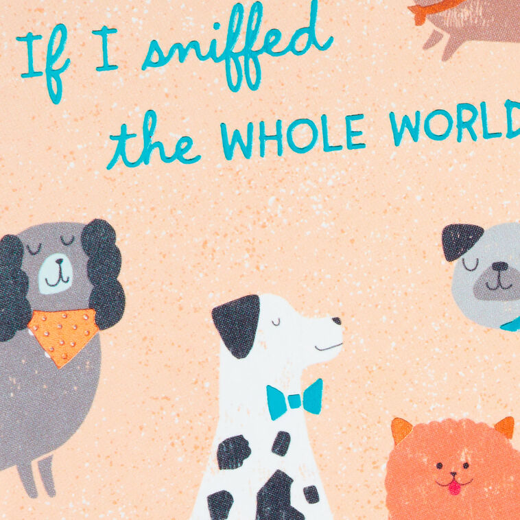 No Better Mom Than You Mother's Day Card From the Dog - Greeting Cards | Hallmark no-better-mom-than-you-mother-s-day-card-from-the-dog-greeting-cards-hallmark