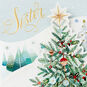 Happy Memories With You Christmas Card for Sister, , large image number 7