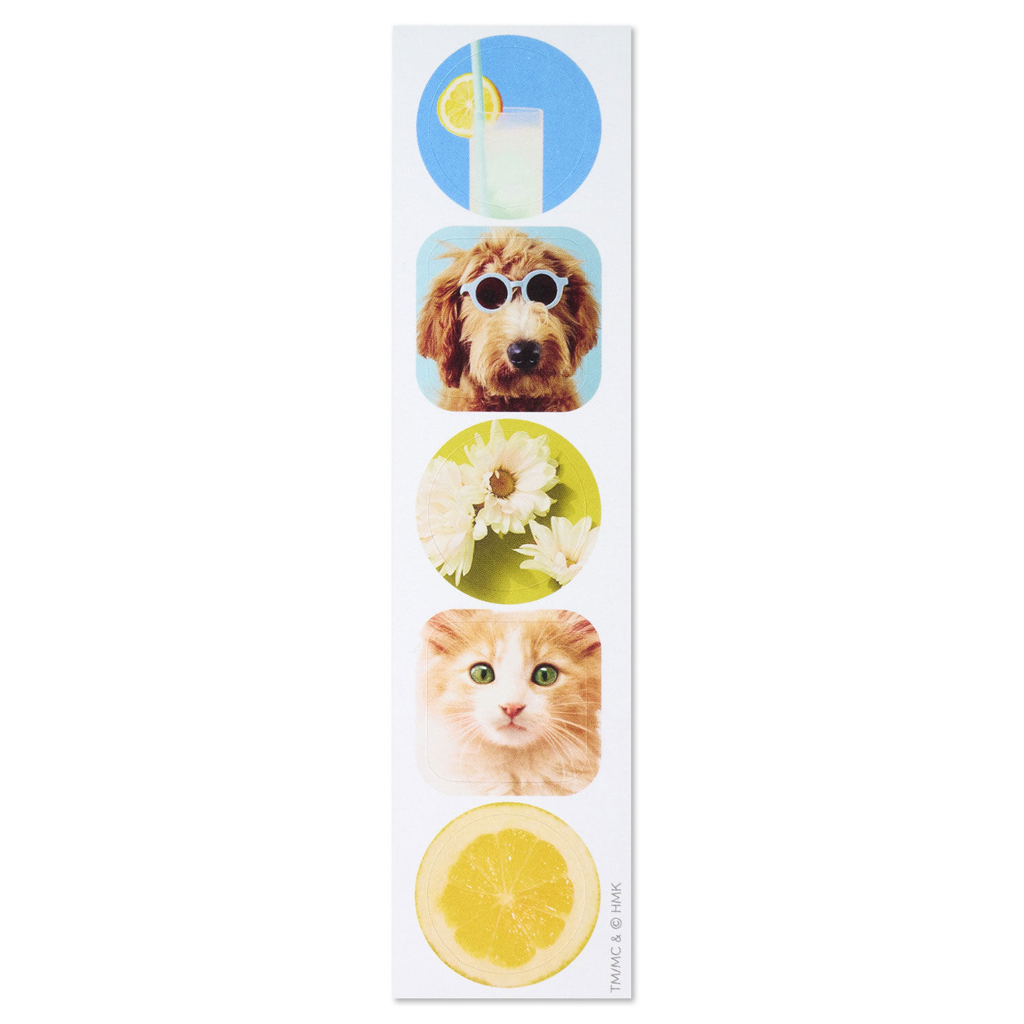 Dog and Cat Just Because Cards Pack With Stickers front image number 6