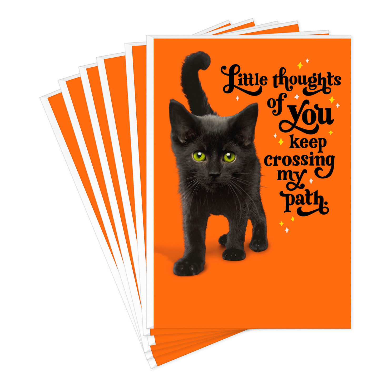 Purr-fectly Wonderful Black Cat Halloween Cards, Pack of 6