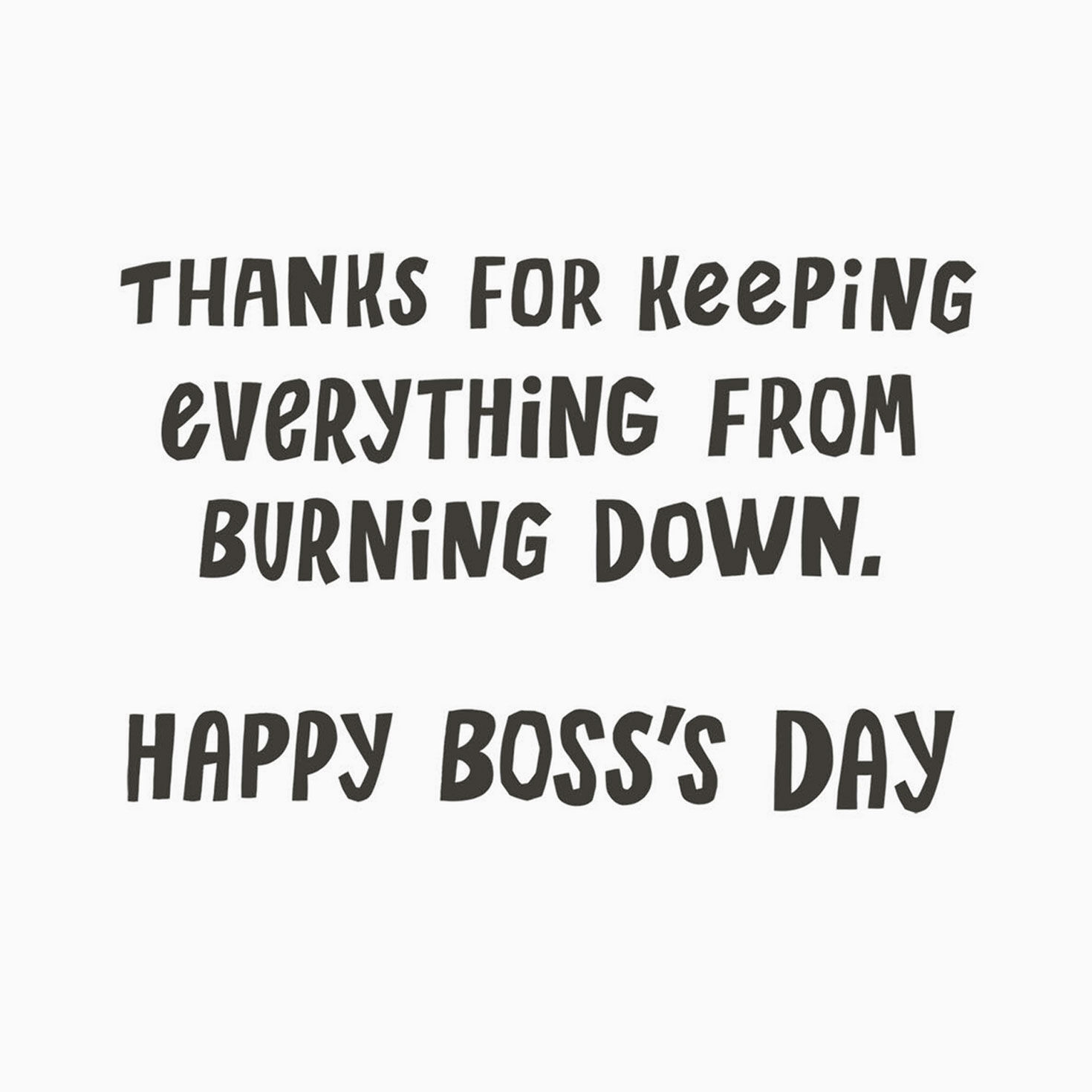 Dumpster Fire Funny Boss's Day Card, , large image number 2