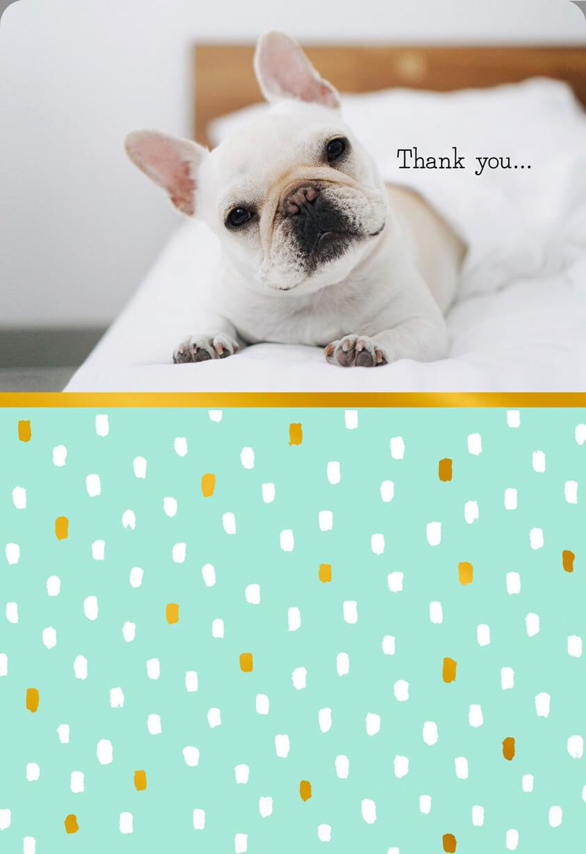 Furry Little Heart Thank You Card