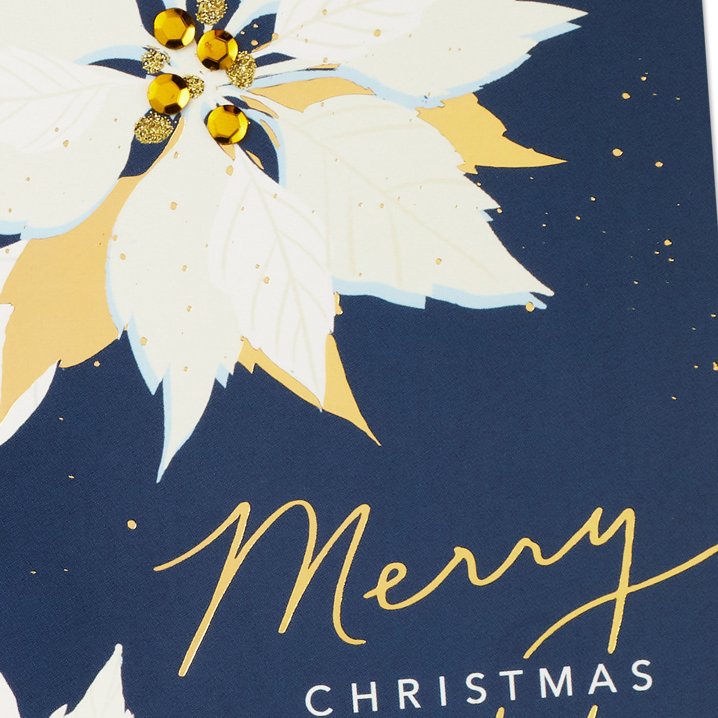 Poinsettia Blooms on Blue Boxed Christmas Cards Cover Detail image number 5