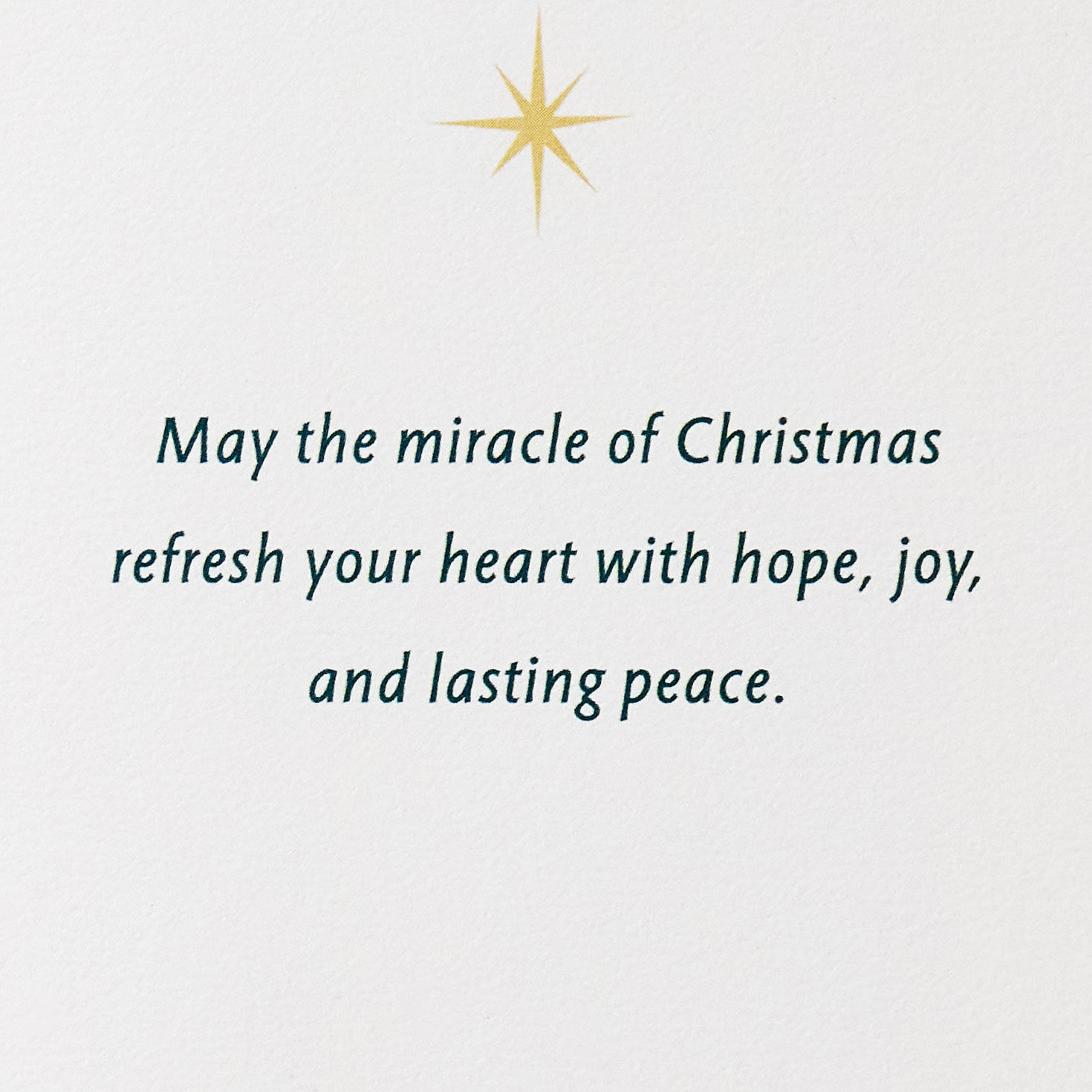 Nativity Poinsettia Religious Christmas Card Sentiment image number 2