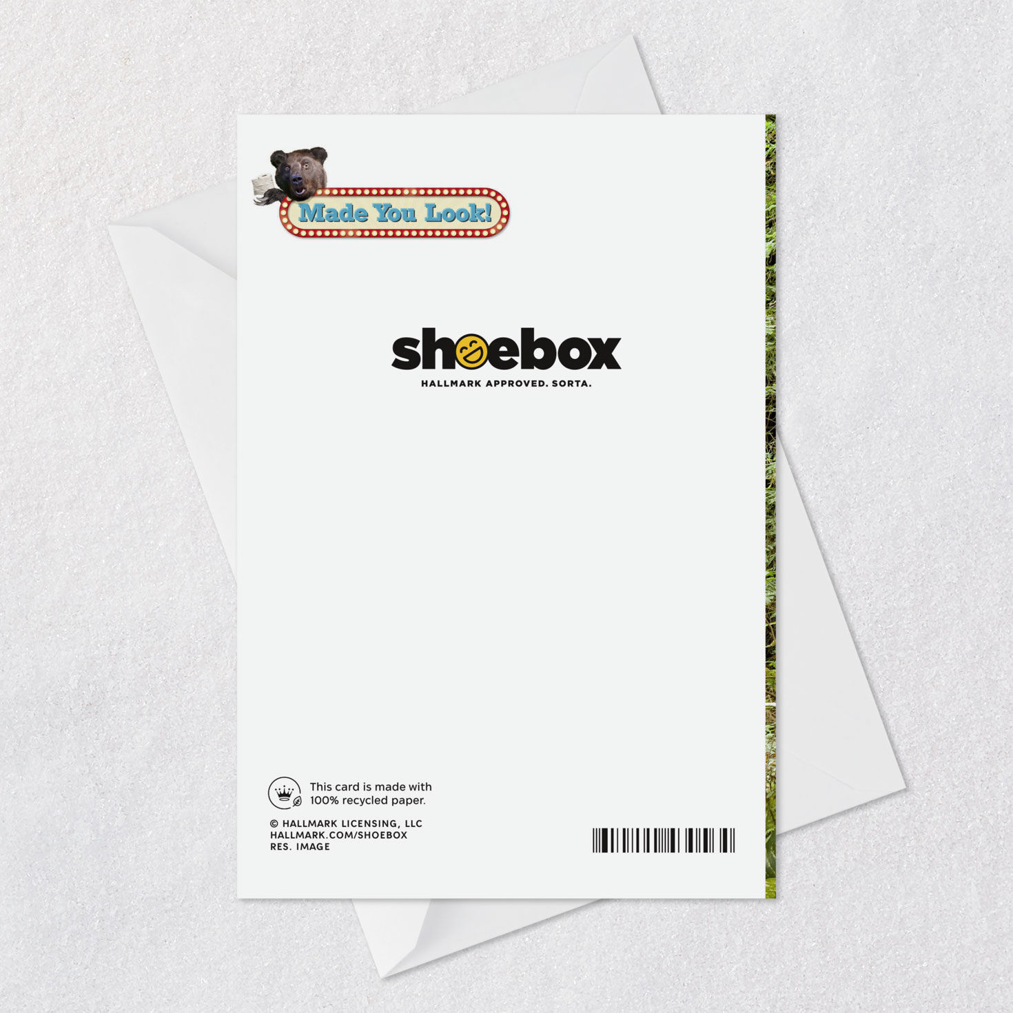 Bear in the Woods Funny Birthday Card Card Back with Envelope image number 7