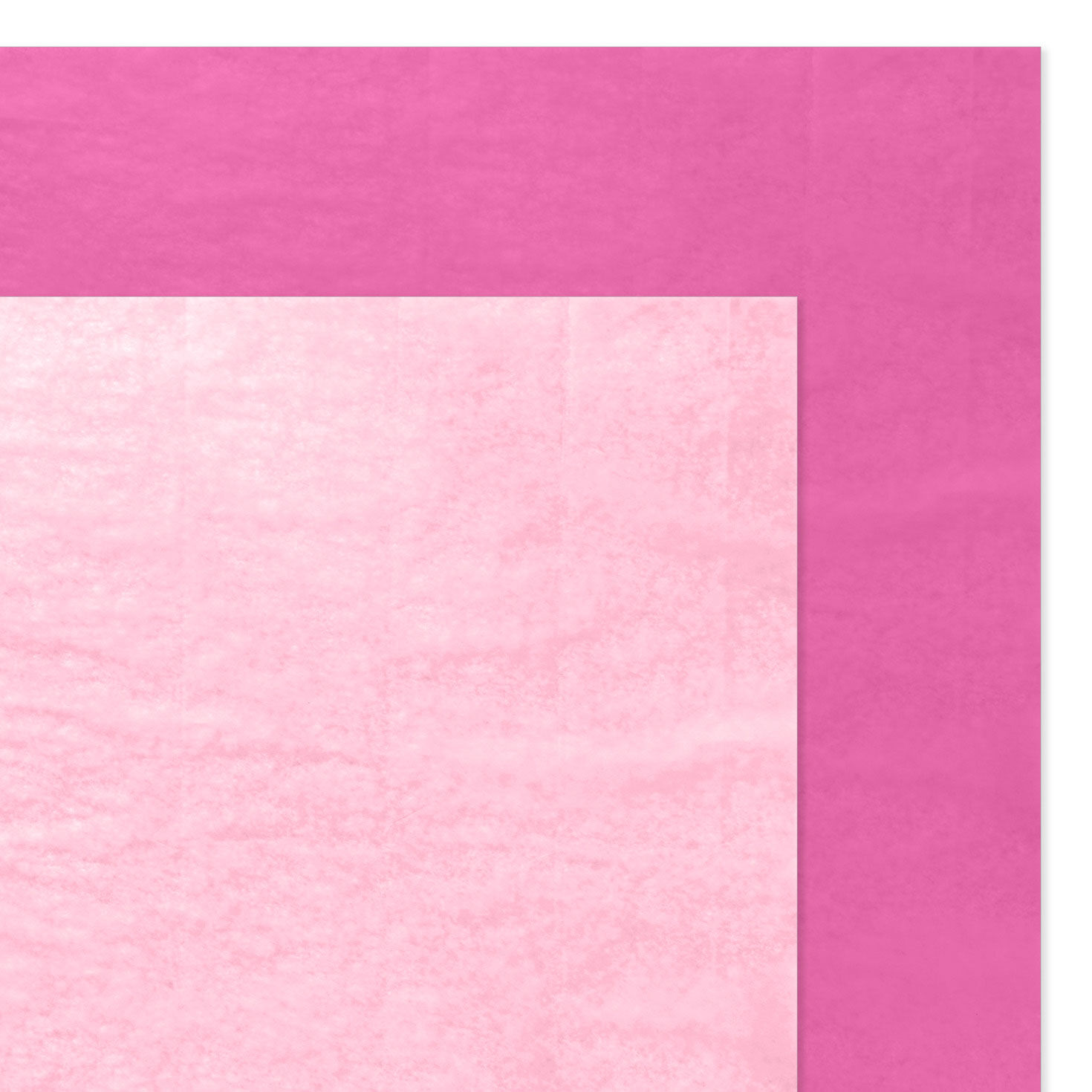 Solid Hot Pink/Medium Pink 2-Pack Tissue Paper, 6 sheets, Hot Pink & Medium Pink, large image number 3