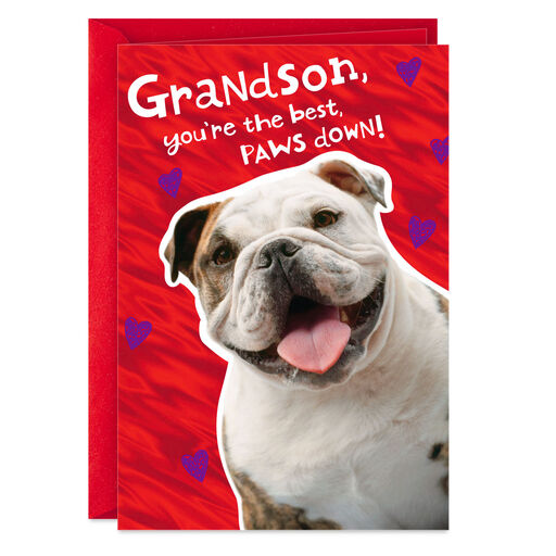 You're the Best Paws Down Valentine's Day Card for Grandson, 