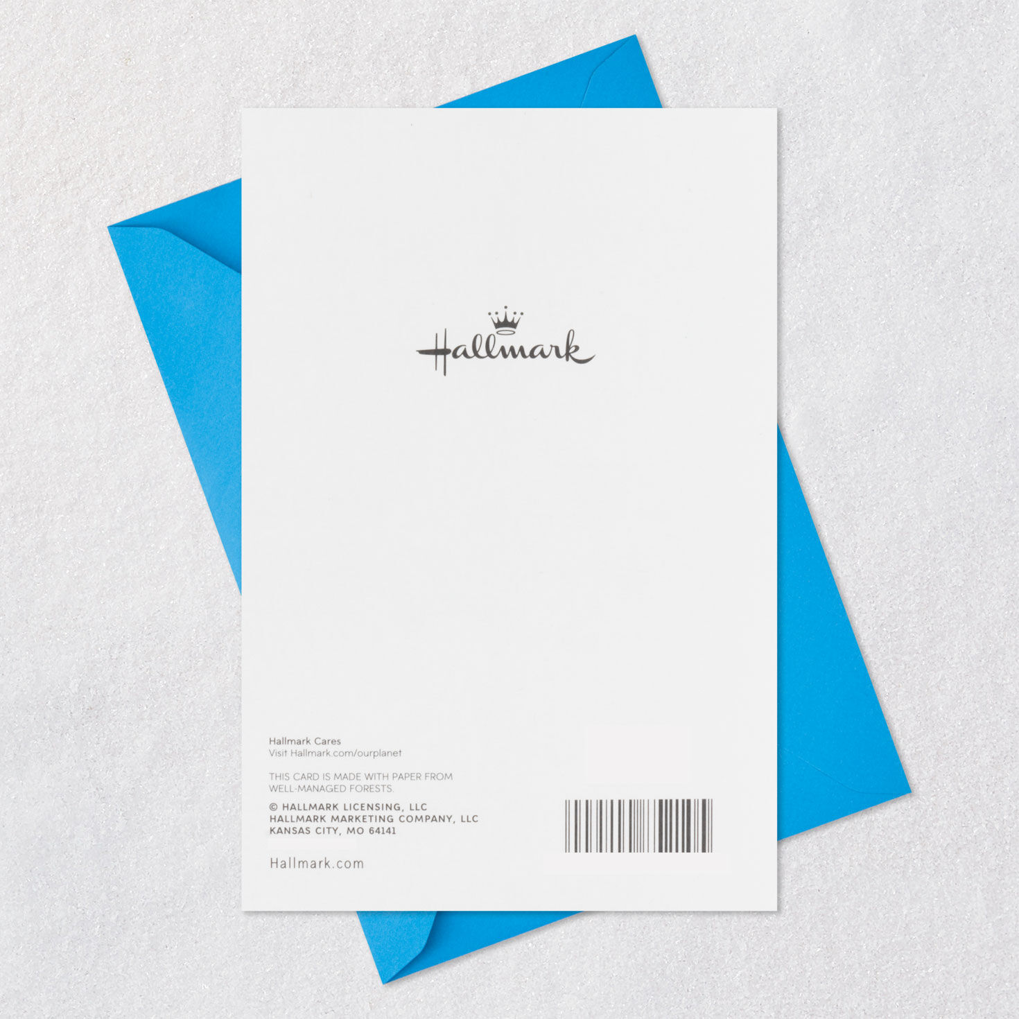 Never Forget How Loved You Are Birthday Card for Grandson, , large image number 7