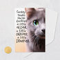 Mean Gray Cat Funny Birthday Card Card Front with Envelope and Gold Seal image number 5