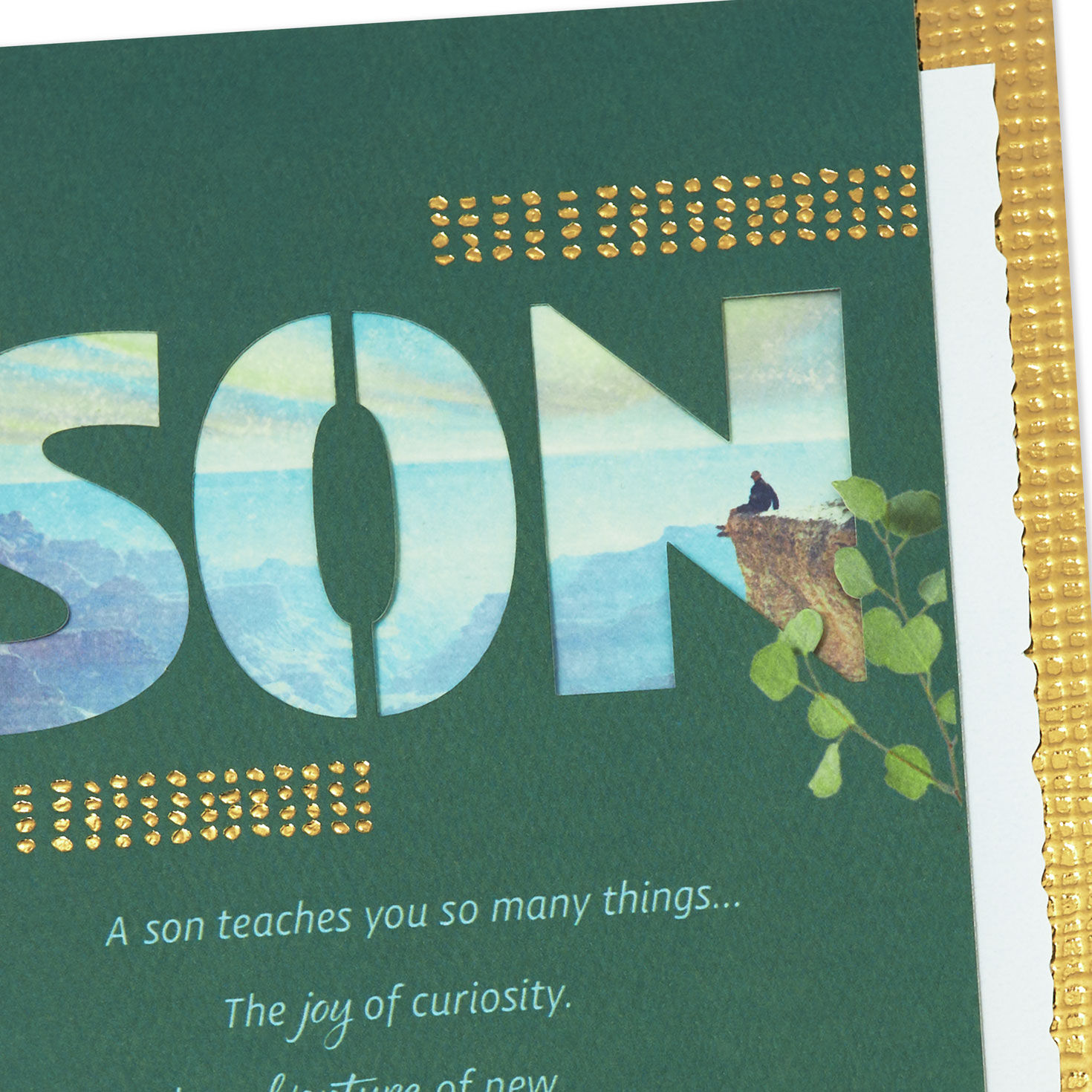 A Son Teaches You So Much Birthday Card for Son for only USD 6.99 | Hallmark