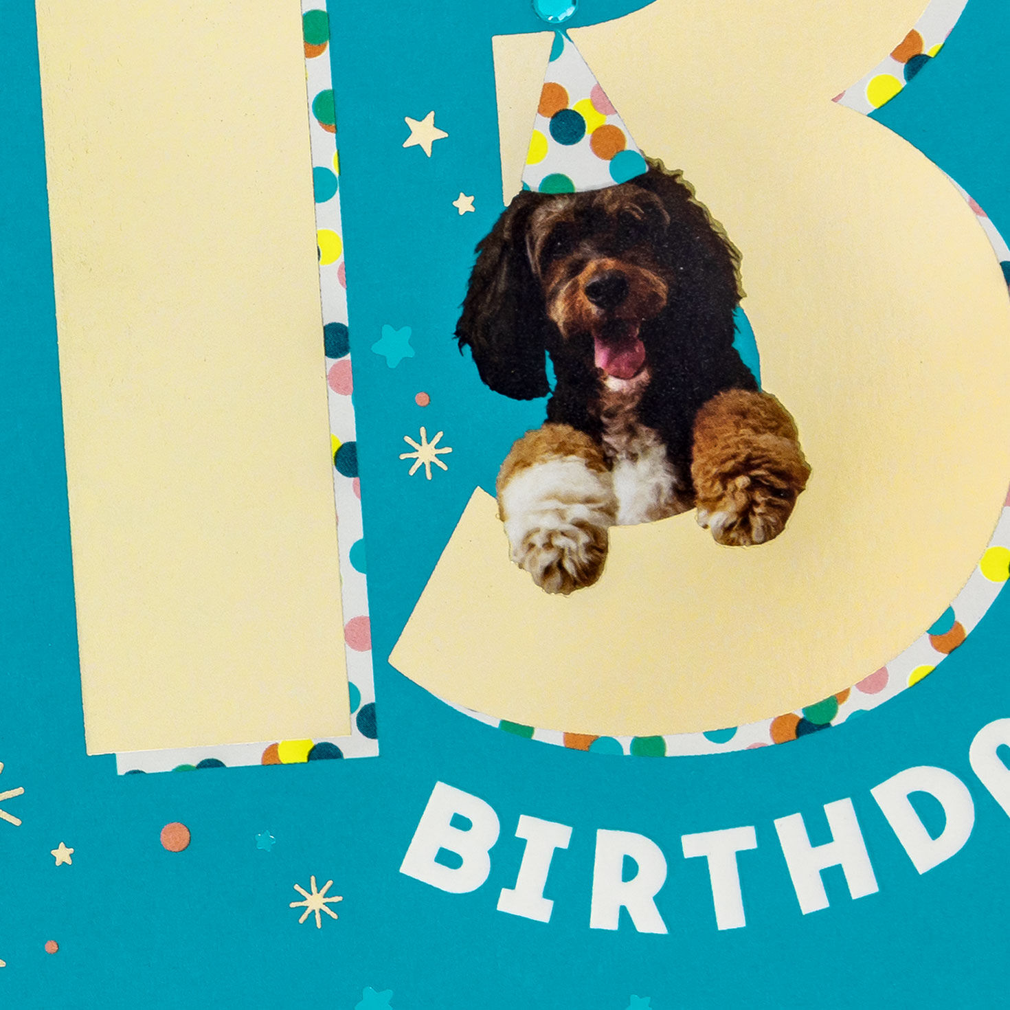 Dog in Party Hat 13th Birthday Card Card Front Detail image number 4