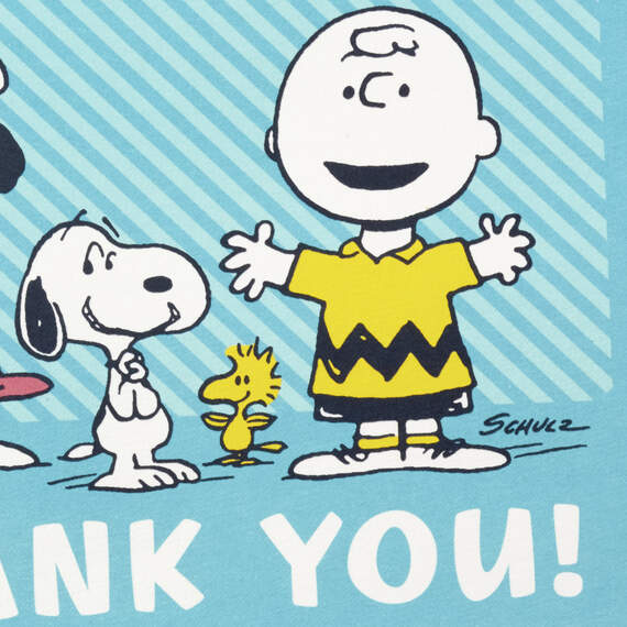 Peanuts® Charlie Brown, Lucy and Snoopy Boxed Blank Thank-You Notes, Pack of 10, , large image number 3