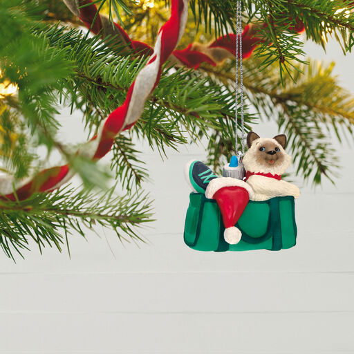 Mischievous Kittens Ornament, 