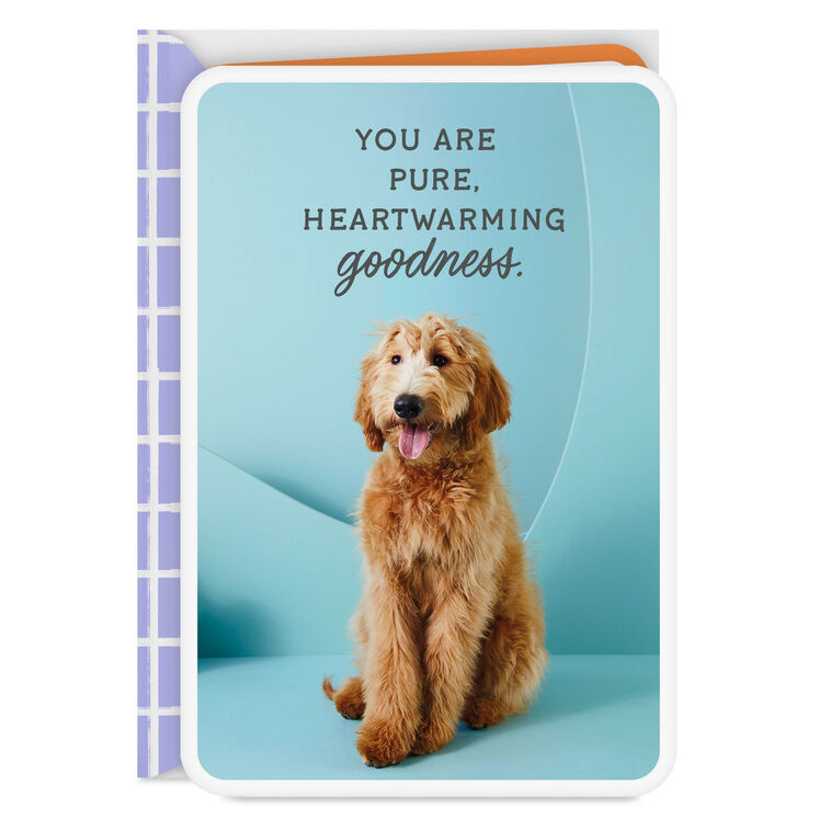 You Are Pure Goodness Thank You Card