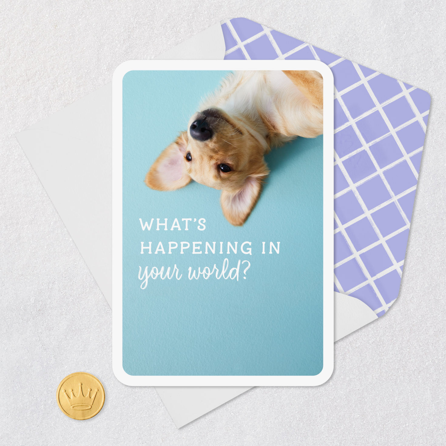 Upside-Down Dog Blank Card Card Front with Envelope and Gold Seal image number 4