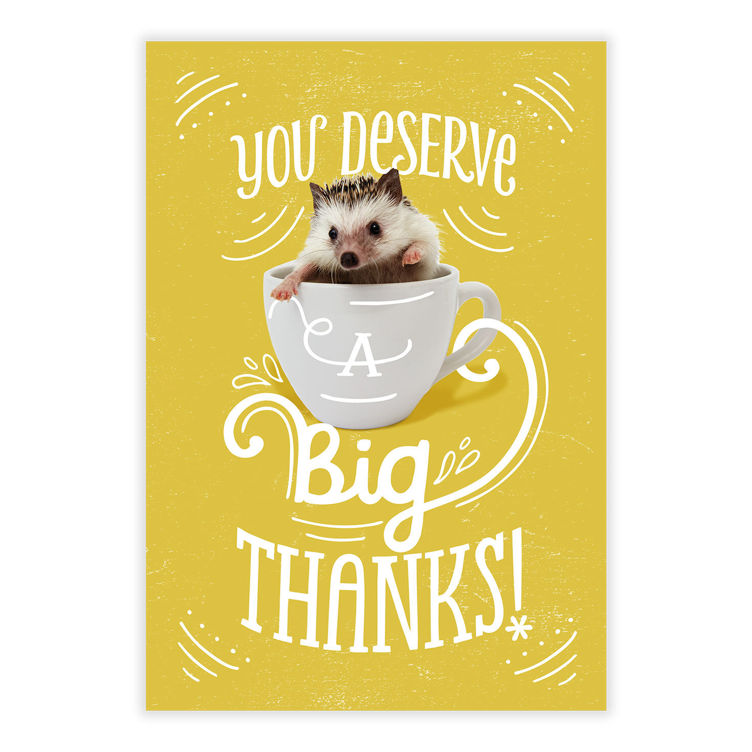 A Little Niceness Thank-You eCard, , large image number 2