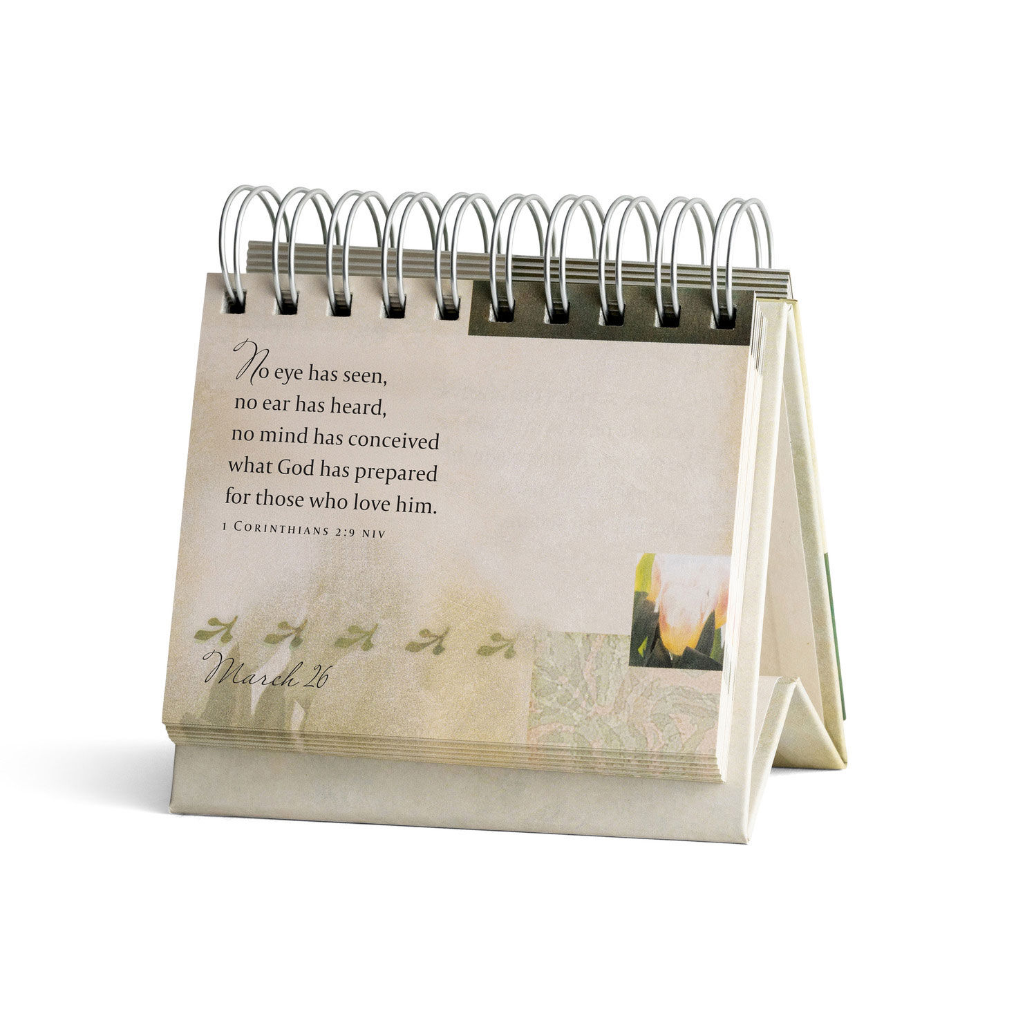 Promises and Blessings 365 Day Desk Calendar  image number 3