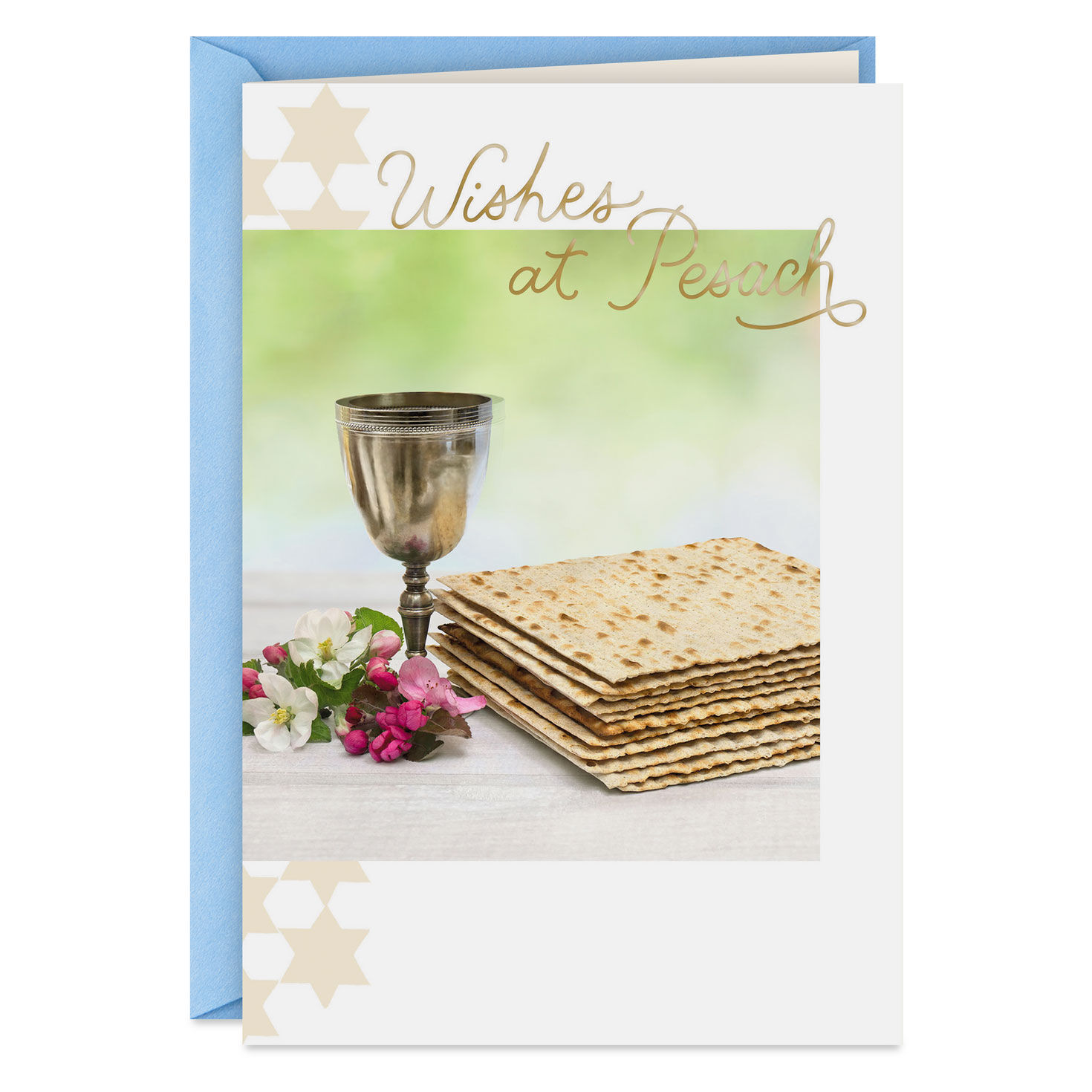 Wishes at Pesach Passover Card