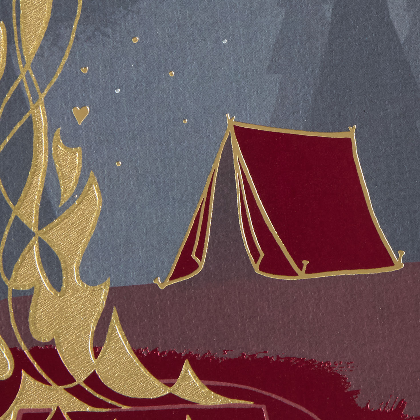 Campfire and Tent Valentine's Day Card Card Front Detail image number 6