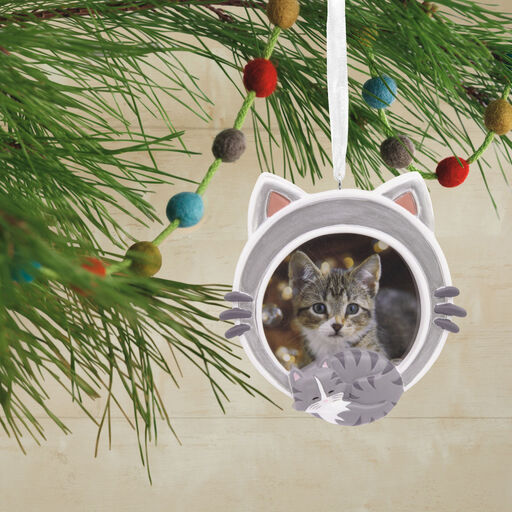 Cat Photo Frame Hallmark Ornament, 