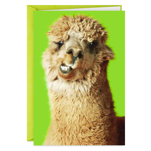 Nobody Gets Me Like You Funny Friendship Card, 