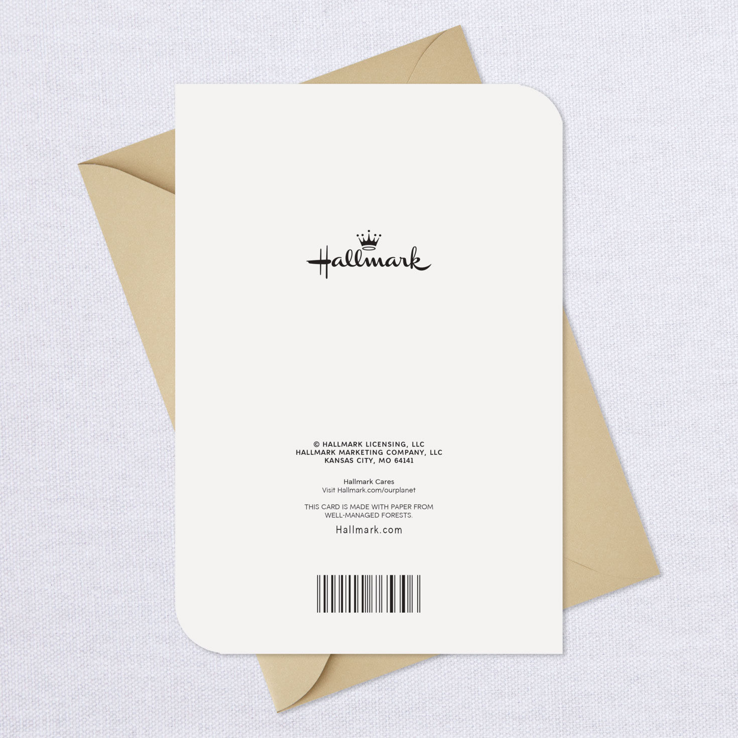 Wreath on Door Thinking of You Thanksgiving Card, , large image number 7