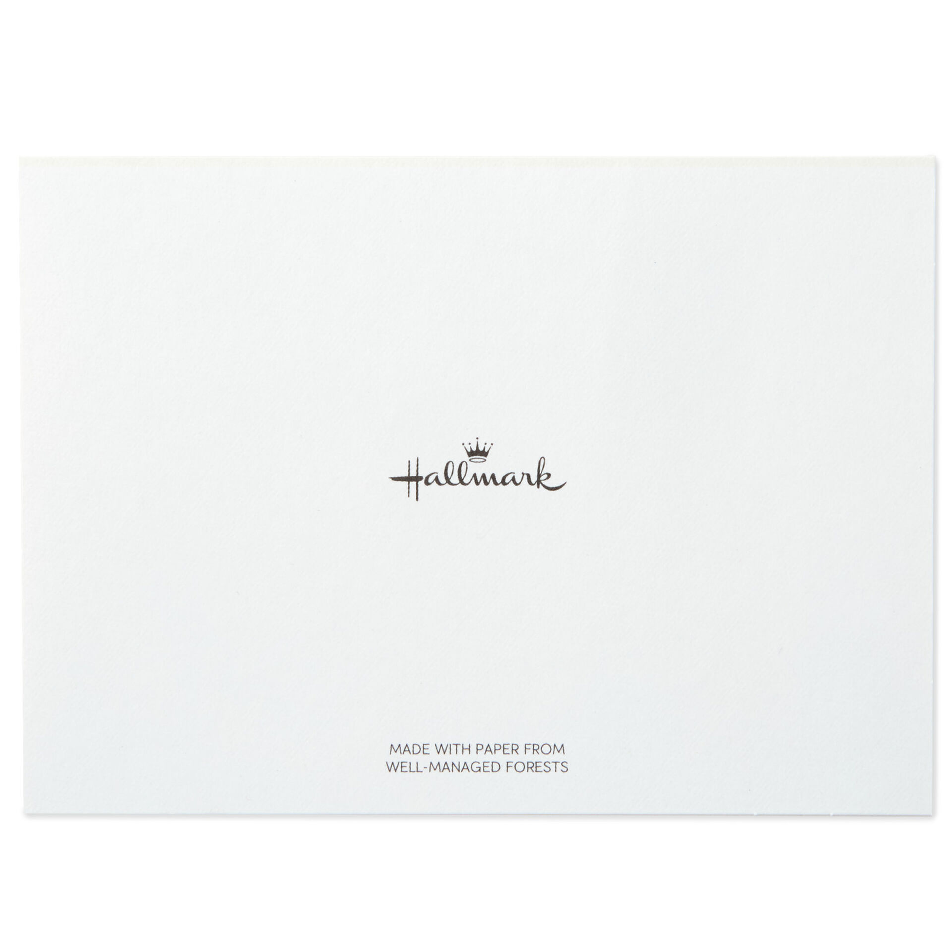 BlackandWhite Striped Blank ThankYou Notes, Box of 40 Note Cards