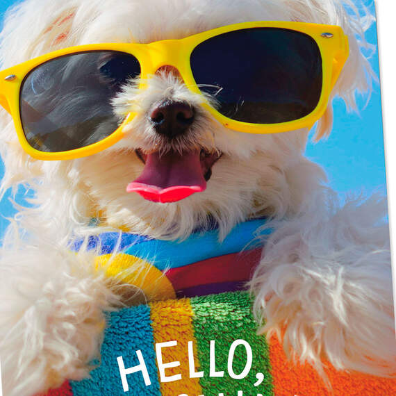 Dog in Sunglasses Hello Card, , large image number 4