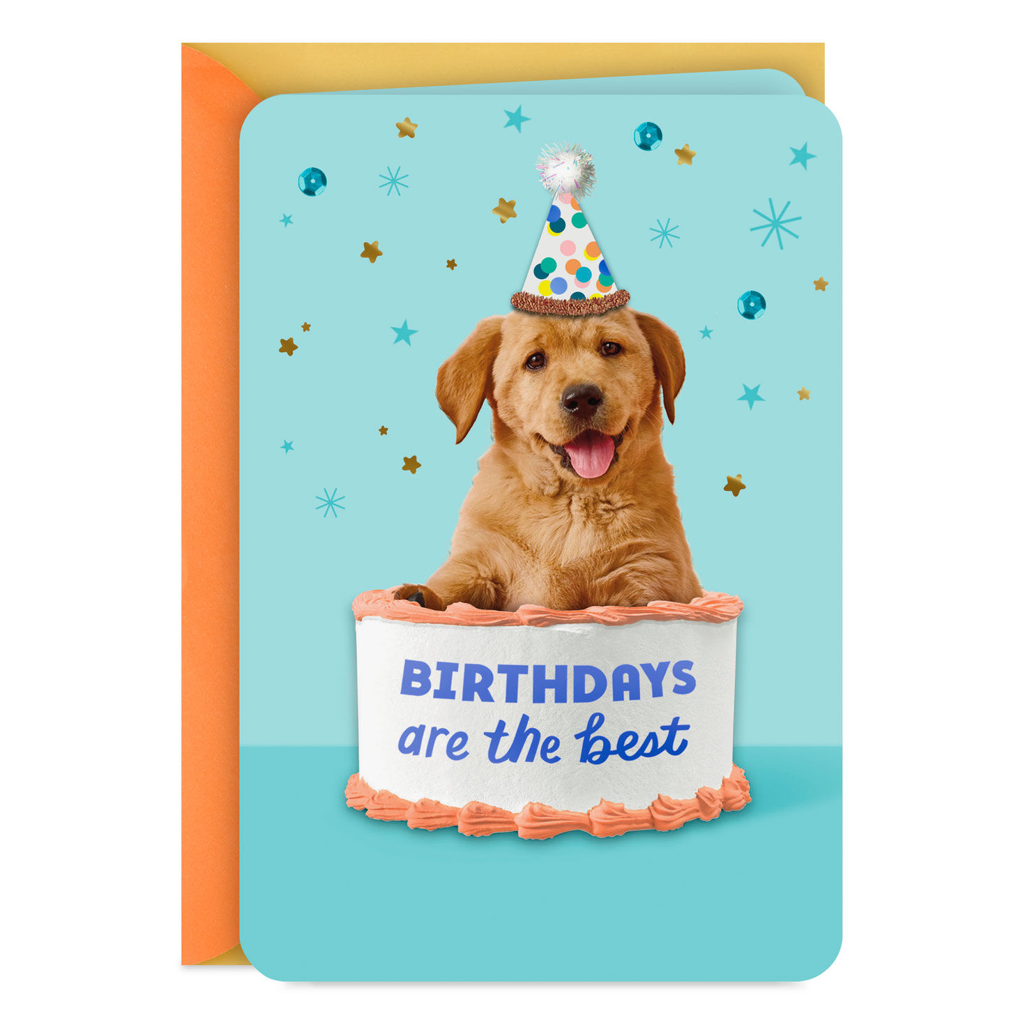 All Happy All Day Birthday Card