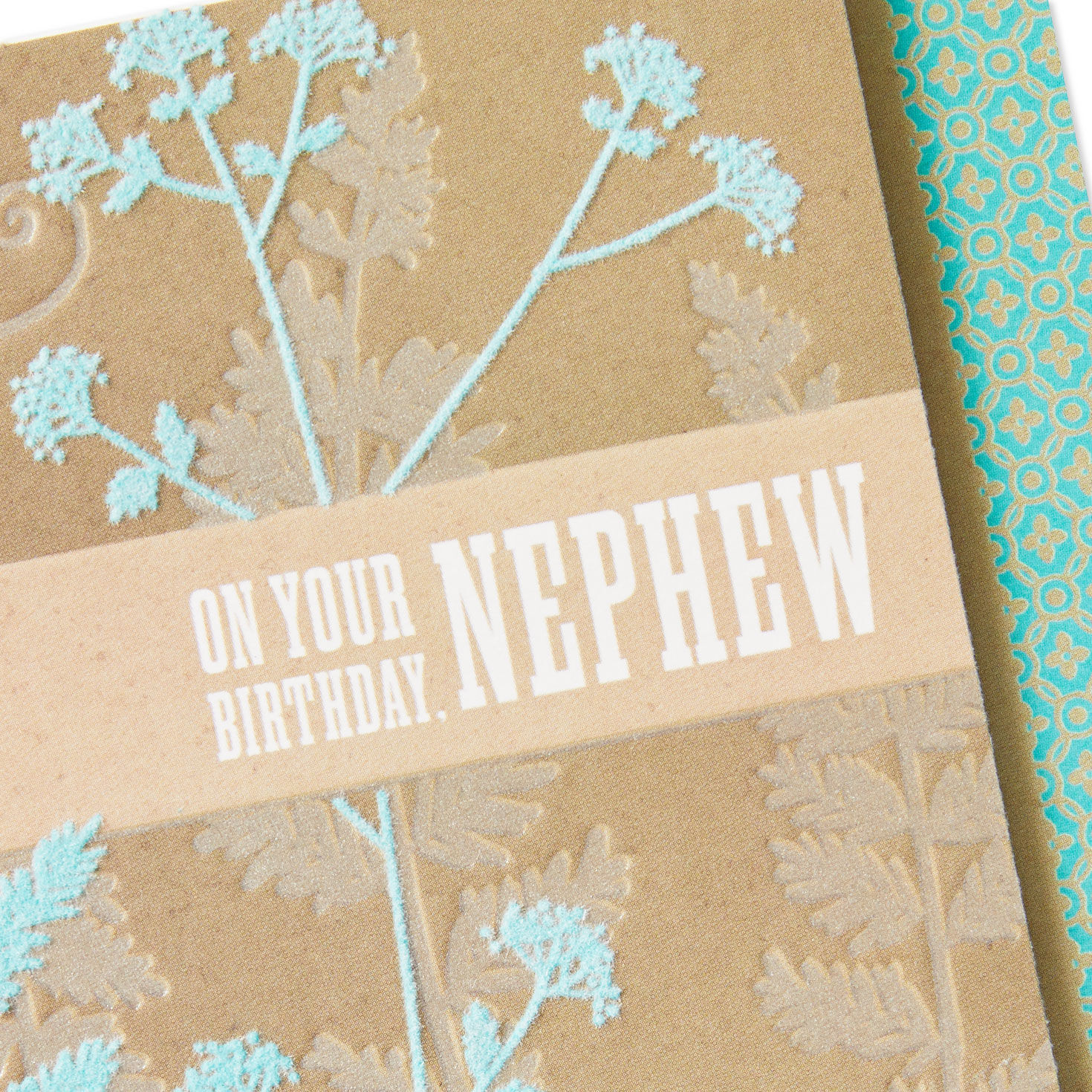 Best Year Ahead Birthday Card for Nephew for only USD 4.99 | Hallmark