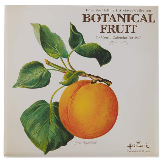Botanical Fruit 2017 Wall Calendar, , large image number 1