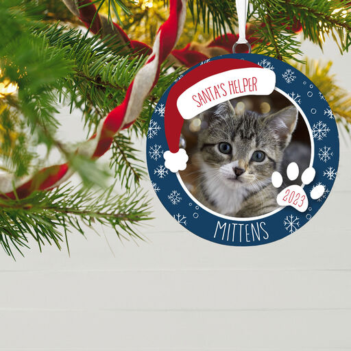 Holiday Pet Personalized Text and Photo Ceramic Ornament, 