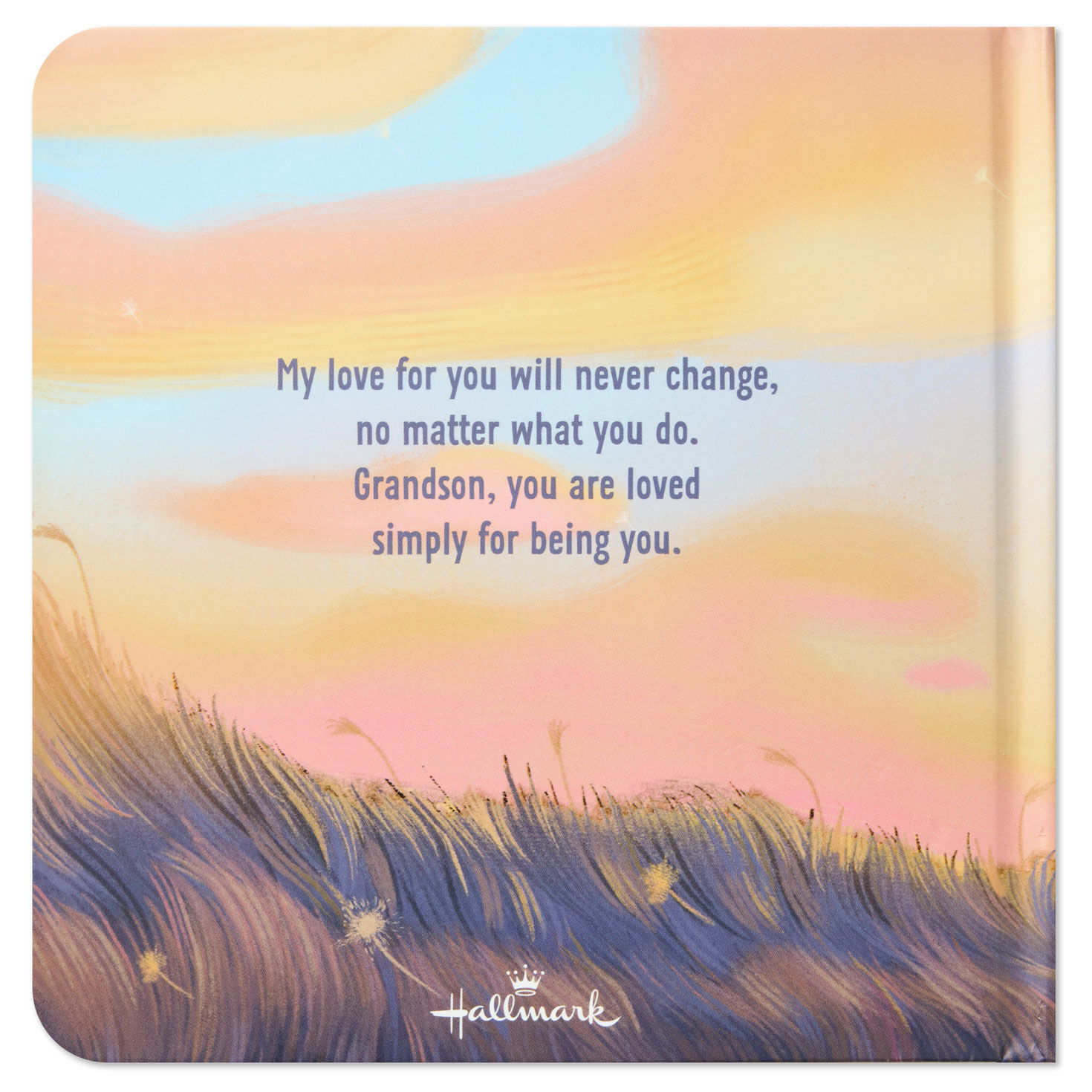 Grandson You Are Loved Board Book for Baby back image number 2